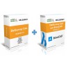 DelSurvey Pro for BricsCAD v10